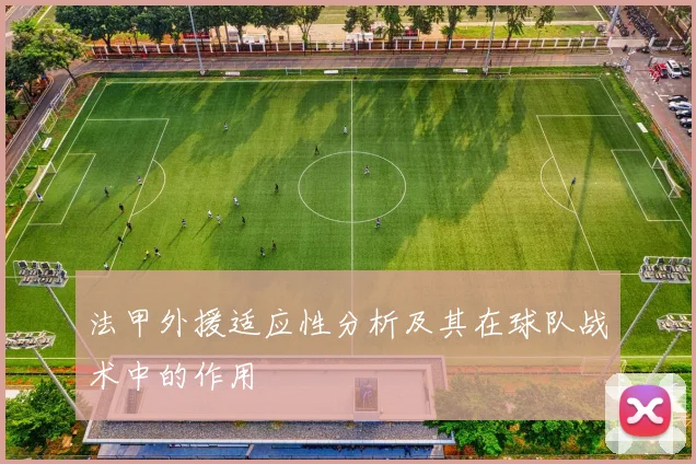 法甲外援适应性分析及其在球队战术中的作用