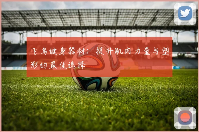 飞鸟健身器材：提升肌肉力量与塑形的最佳选择