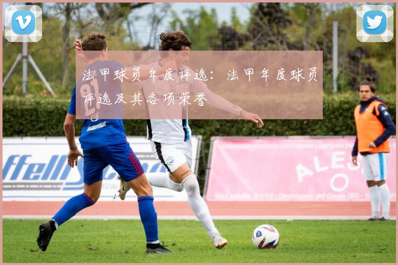 法甲球员年度评选：法甲年度球员评选及其各项荣誉