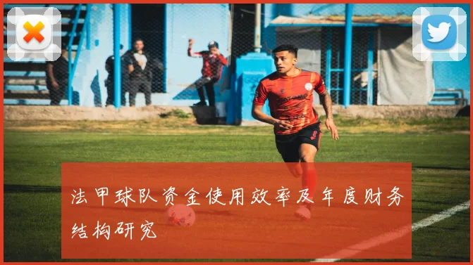 法甲球队资金使用效率及年度财务结构研究