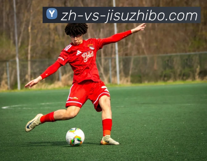 各类健身器材按摩系列产品及体育恢复效果